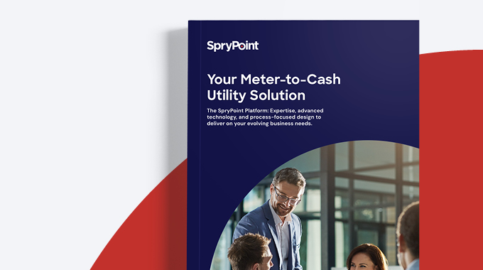 SpryPoint Platform Overview